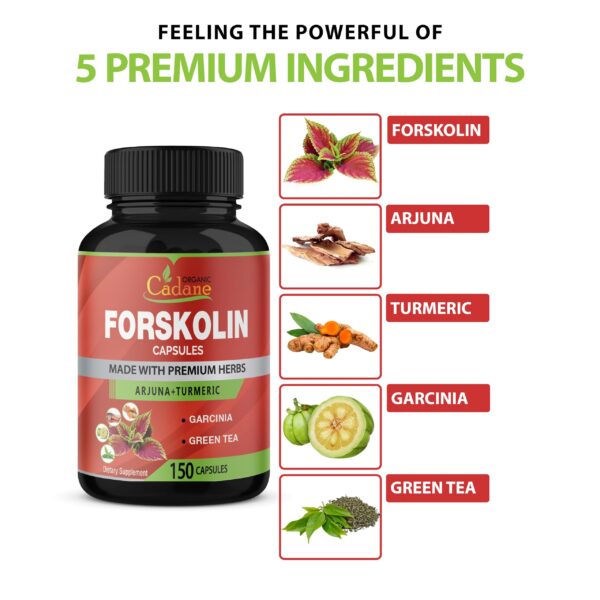 Envase frontal suplemento Cadane Forskolin 150 cápsulas