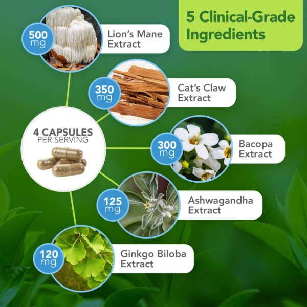 Envase frontal Vital Plan Brain Boost 120 cápsulas