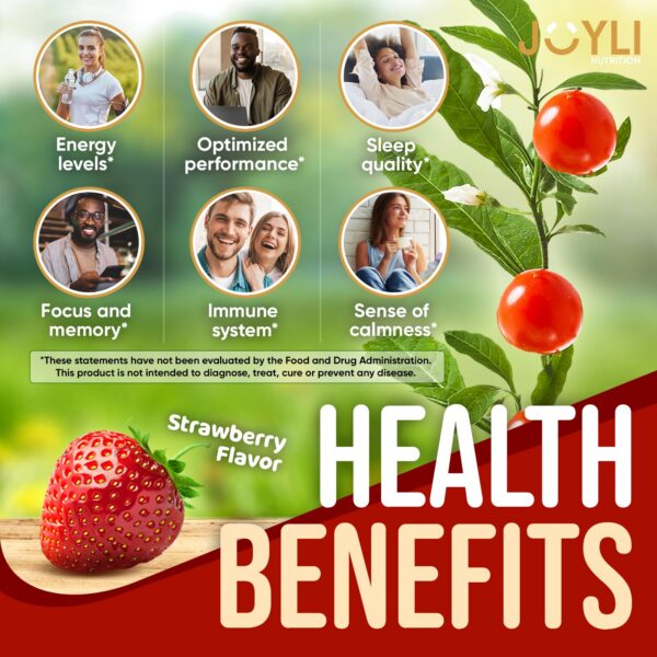 Version 1.0.0 Envase goma estimulante Ashwagandha JOYLI con ingredientes naturales