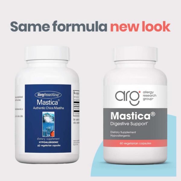 Version 1.0.0 Envase de Goma de Mástique 60 cápsulas