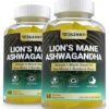 Envase de gomitas de ashwagandha y melena de león Wiszeen
