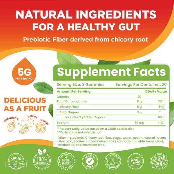 Envase de gomitas de fibra NATUREBYTES