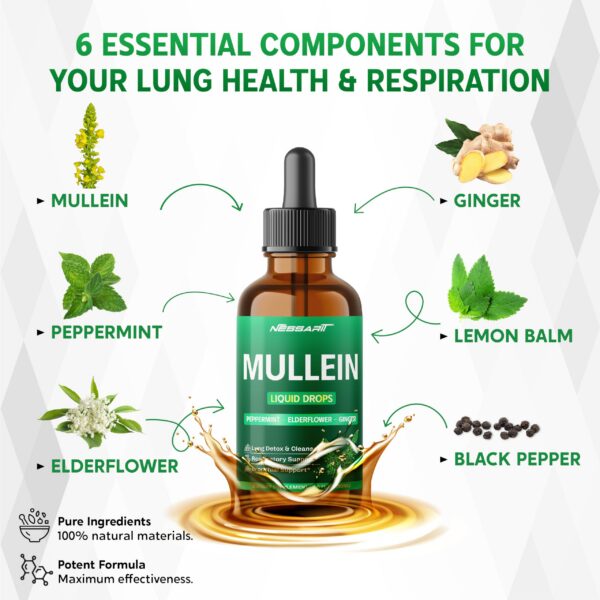 Envase frontal gotas líquidas Mullein para apoyo respiratorio