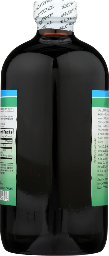 Version 1.0.0 Envase y gotero de clorofila con menta World Organic