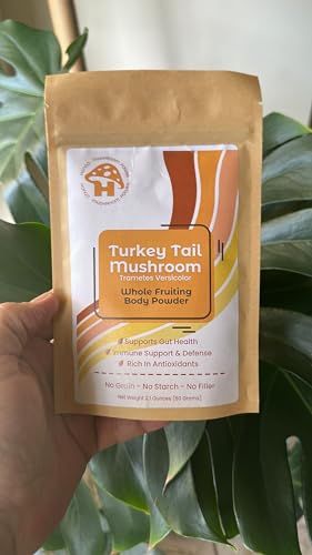 Envase de Hongo Mushroom Power