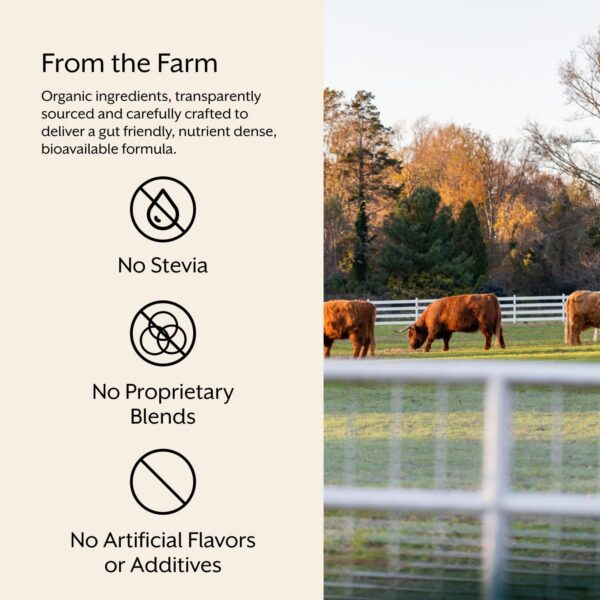 Envase lateral ProMix Nutrition Raw Greens superfood