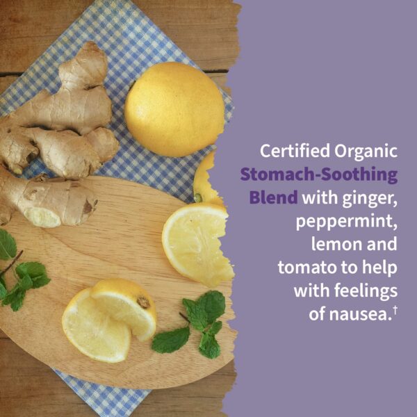 Multivitamínico prenatal envase Garden of Life con tabletas visibles