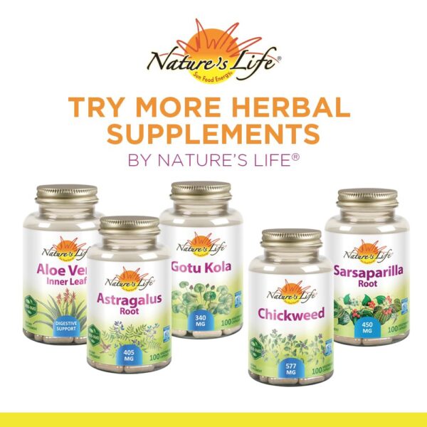 Suplemento natural Bayas Serenoa Repens para hombres Nature's Life