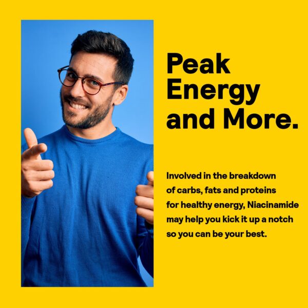 Version 1.0.0 Envase niacinamida vitamin b3 naturaleza vida