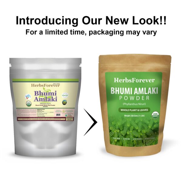 Version 1.0.0 Envase de polvo Bhumiamalaki para apoyo hepático