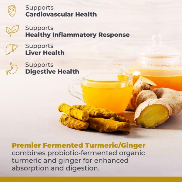 Envase de polvo fermentado cúrcuma y jengibre Premier Research