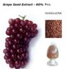 Polvo-fino-extracto-semilla-de-uva-nusci