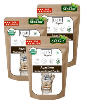 Envase polvo extracto seta agarikon orgánico USDA 300 g