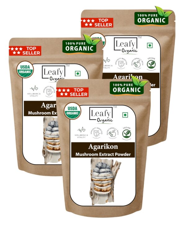 Envase polvo extracto seta agarikon orgánico USDA 300 g