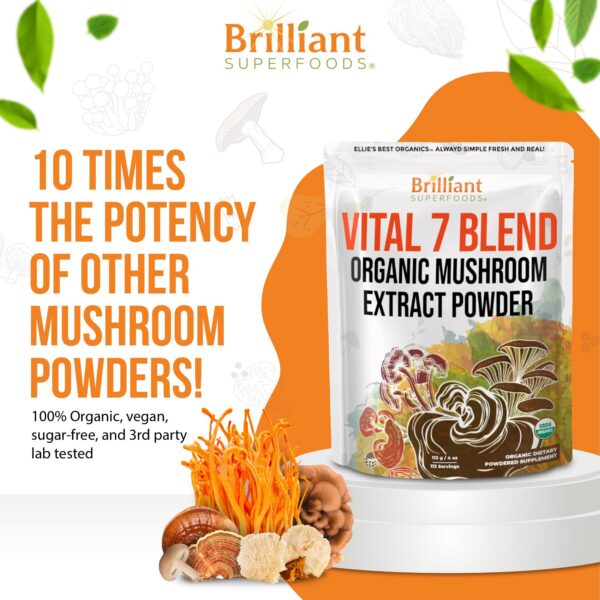 Envase polvo hongos Reishi Melena de León Chaga etc Ellie's Best