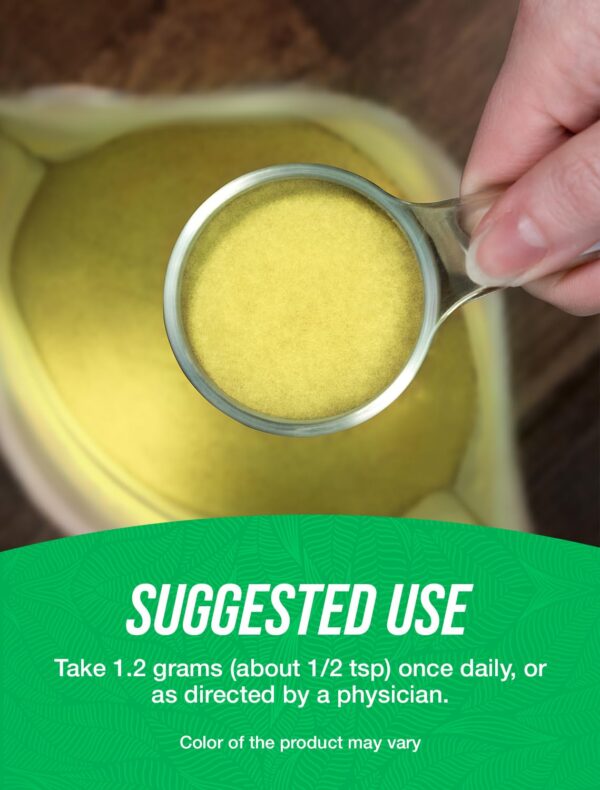 Envase polvo lecitina soya BulkSupplements