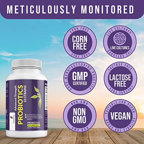 Version 1.0.0 Envase probióticos NutriZing con 16 cepas bacterianas efectivas