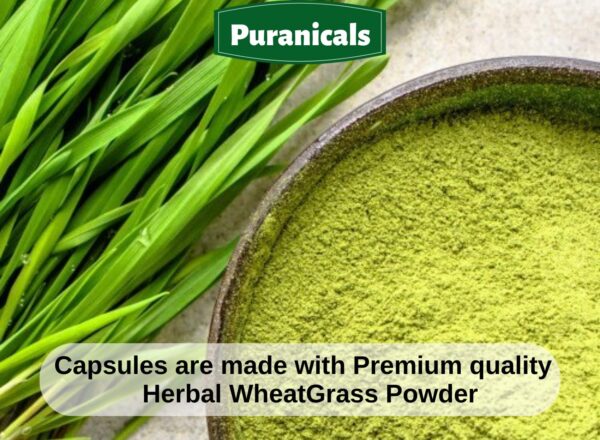 Envase Puranicals hierba de trigo premium sin gluten
