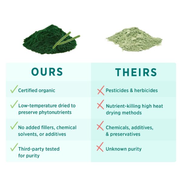 Envase de polvo de algas verde-azules PURE SYNERGY