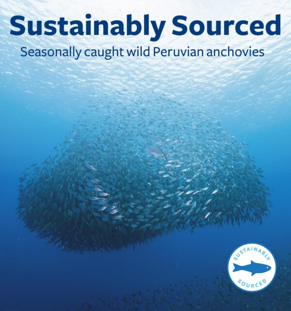 Version 1.0.0 Envase con etiqueta de sostenibilidad