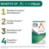 Envase suplemento ácido fólico Active Folic 60 cápsulas