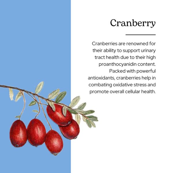 Envase suplemento arándano seco congelado Eclectic Institute