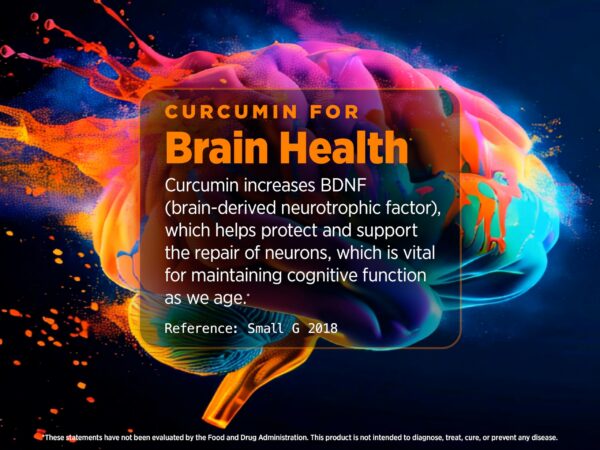 Version 1.0.0 Envase suplemento Biotest curcumina micelar 60 cápsulas