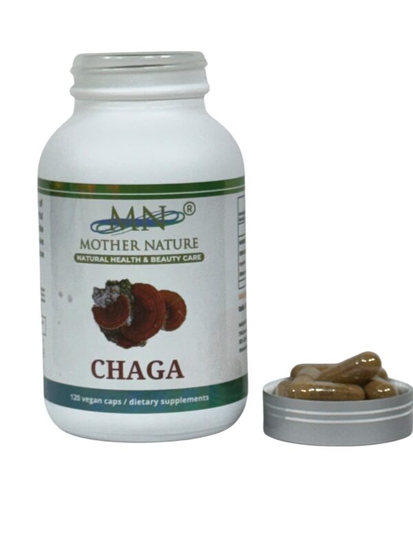 Envase de Suplemento Chaga MN con 120 cápsulas