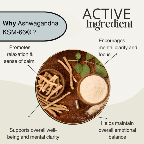 envase-suplemento-dr-scott-ashwagandha-mood-boost