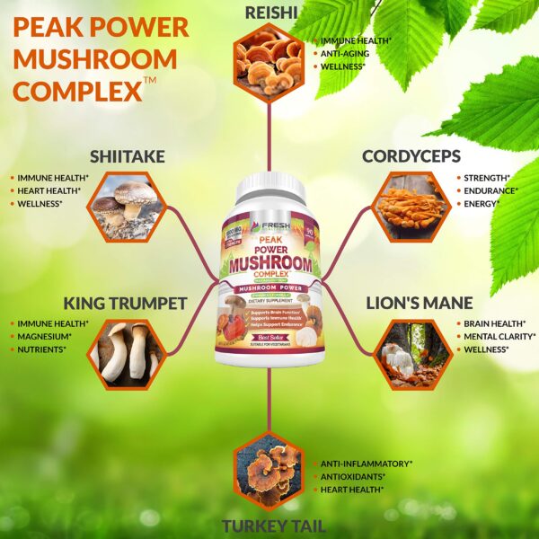 Envase-suplemento-hongos-FRESH-HEALTHCARE-lado-derecho