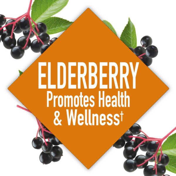 Envase trasero cápsulas Windmill Saúco