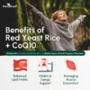Envase trasero con información de cápsulas arroz levadura roja ForestLeaf