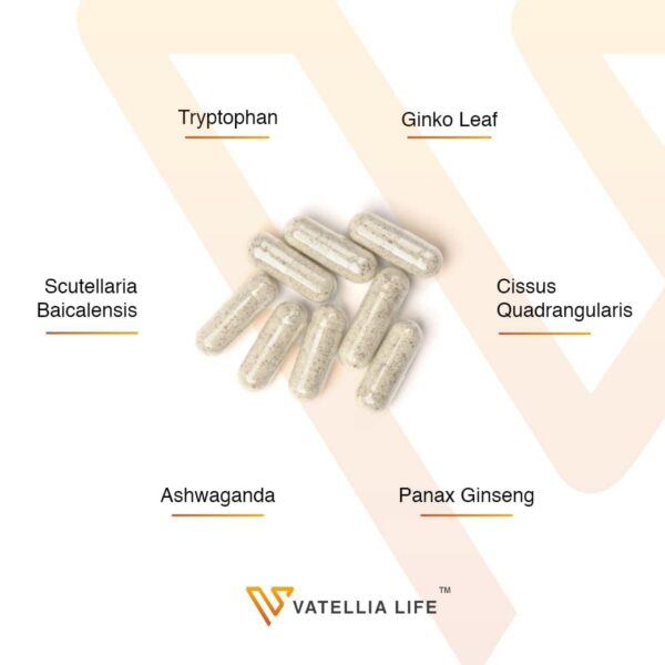 Version 1.0.0 Envase Vatellia Life Daily Zen apoyo para sueño y memoria