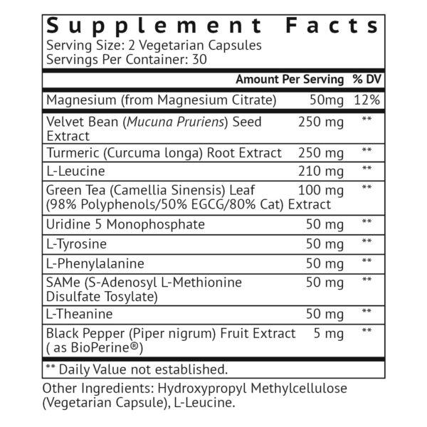 Version 1.0.0 Envase VitaMonk Dopify suplemento dopamina