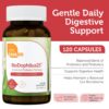 Envase Zahler BioDophilus25 probiótico para salud digestiva
