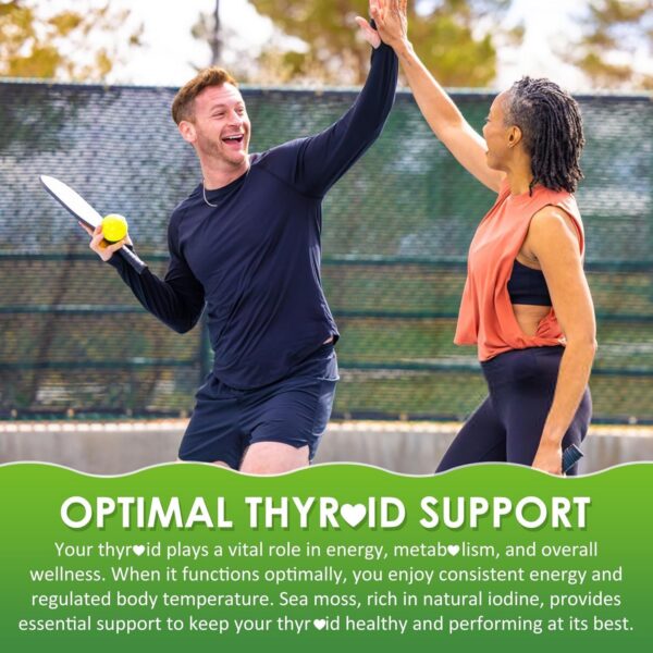 Close-up de una gomita Sea Moss