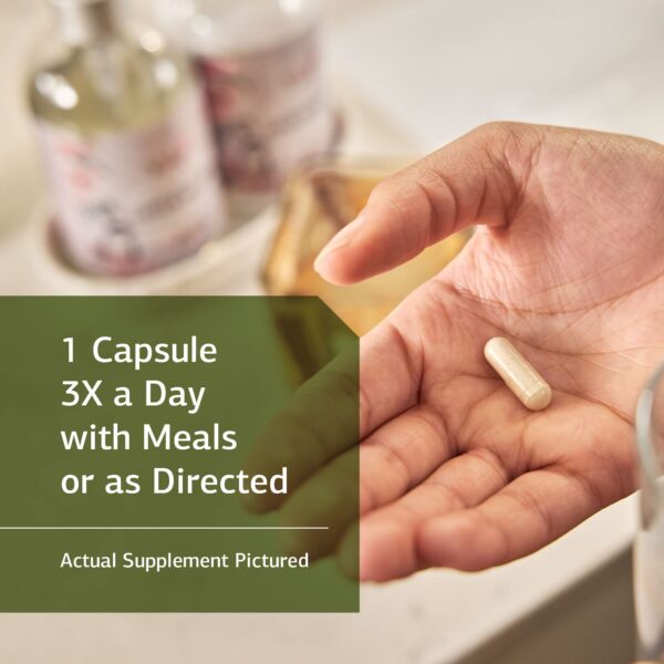 Kale y remolacha en polvo en etiqueta Enzycore