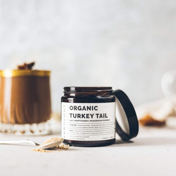 Version 1.0.0 Etiqueta frontal producto polvo hongo turkey tail orgánico