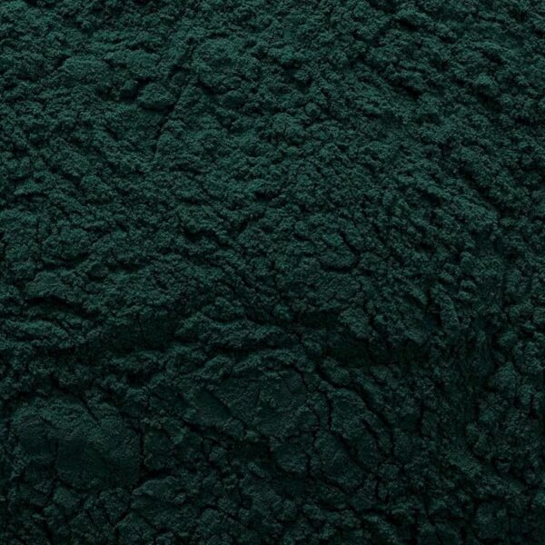 Version 1.0.0 Espirulina en polvo para mezclar en smoothies y recetas saludables