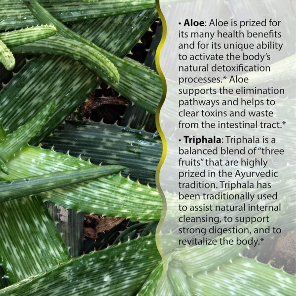 Estuche para pastillas Irwin Naturals Aloe Triphala Set