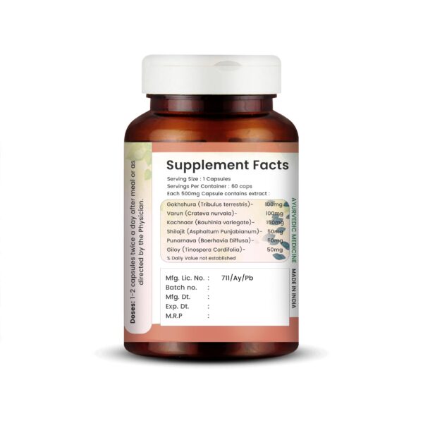 Version 1.0.0 Etiqueta frontal suplemento de próstata con Saw Palmetto y Gokshura