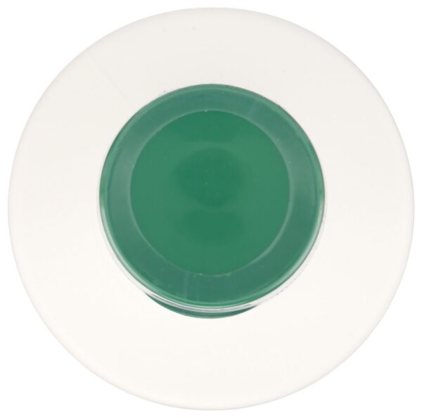 Version 1.0.0 etiqueta de 365 by Whole Foods Market