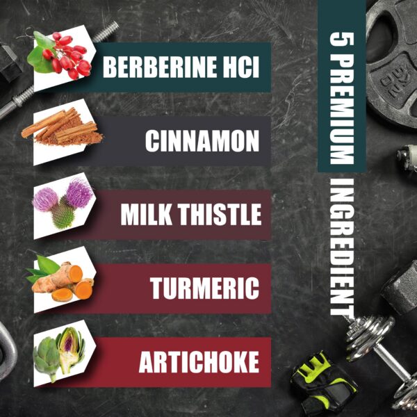 Version 1.0.0 Etiqueta BMVINVOL suplemento 5 en 1 berberina y plantas