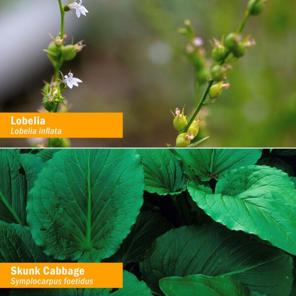 Etiqueta botella Muscule Calmer Herb Pharm fórmulas herbales