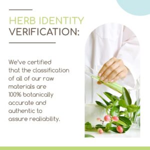 Frasco herbEra galangal suplemento herbal natural