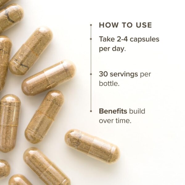 Etiqueta de Cápsulas de Cordyceps Bloomable