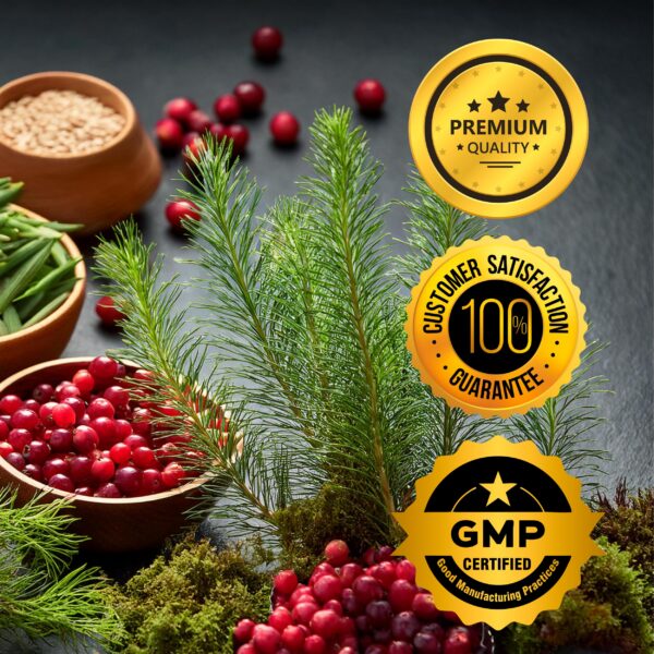 Etiqueta de cápsulas Zenesis Labs Detox renal natural