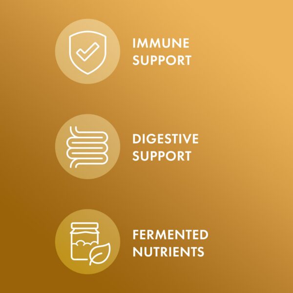 Version 1.0.0 Etiqueta Dr. Mercola jengibre fermentado orgánico
