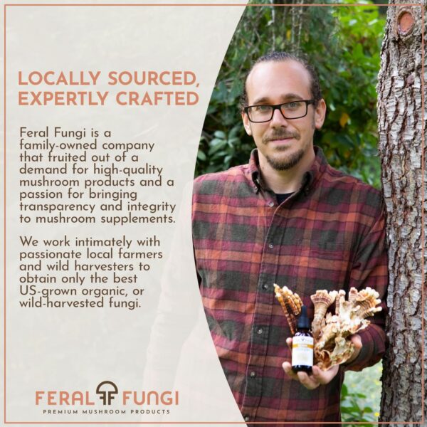 Etiqueta detallada del extracto Myco-Vitality Feral Fungi