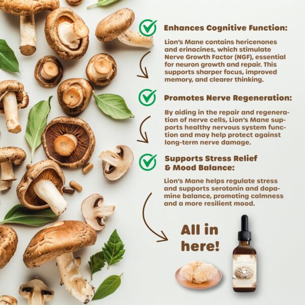 Etiqueta extracto líquido Lion’s Mane FUNGISIP para enfoque